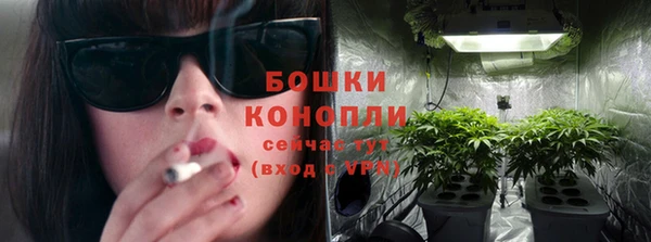 молекула духа Белоозёрский