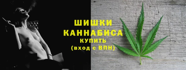 молекула духа Белоозёрский