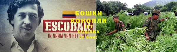 дмт Белокуриха