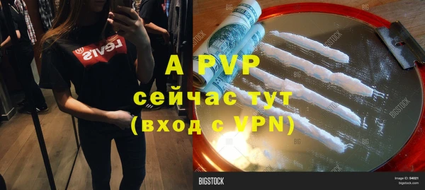 молекула духа Белоозёрский