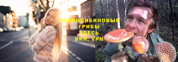 дмт Белокуриха