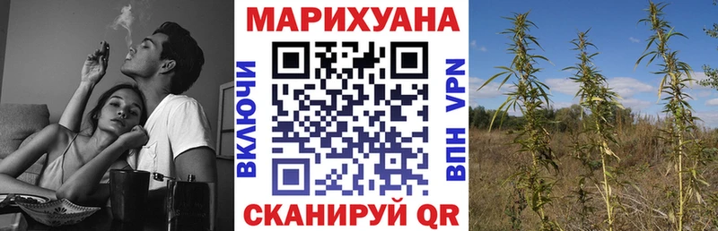 МАРИХУАНА Amnesia  Туран 
